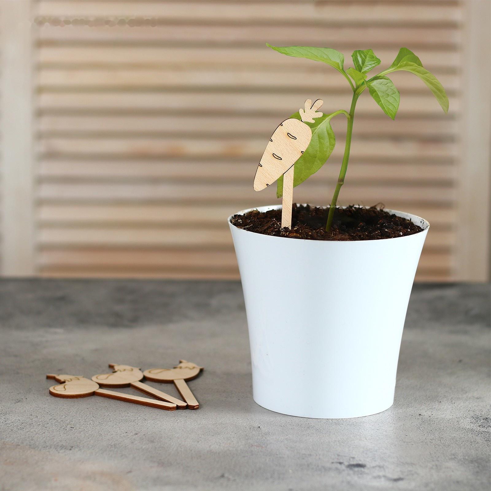 Таблички садовые для маркировки, 12 см, набор 8 шт., дерево, «Морковь», Greengo