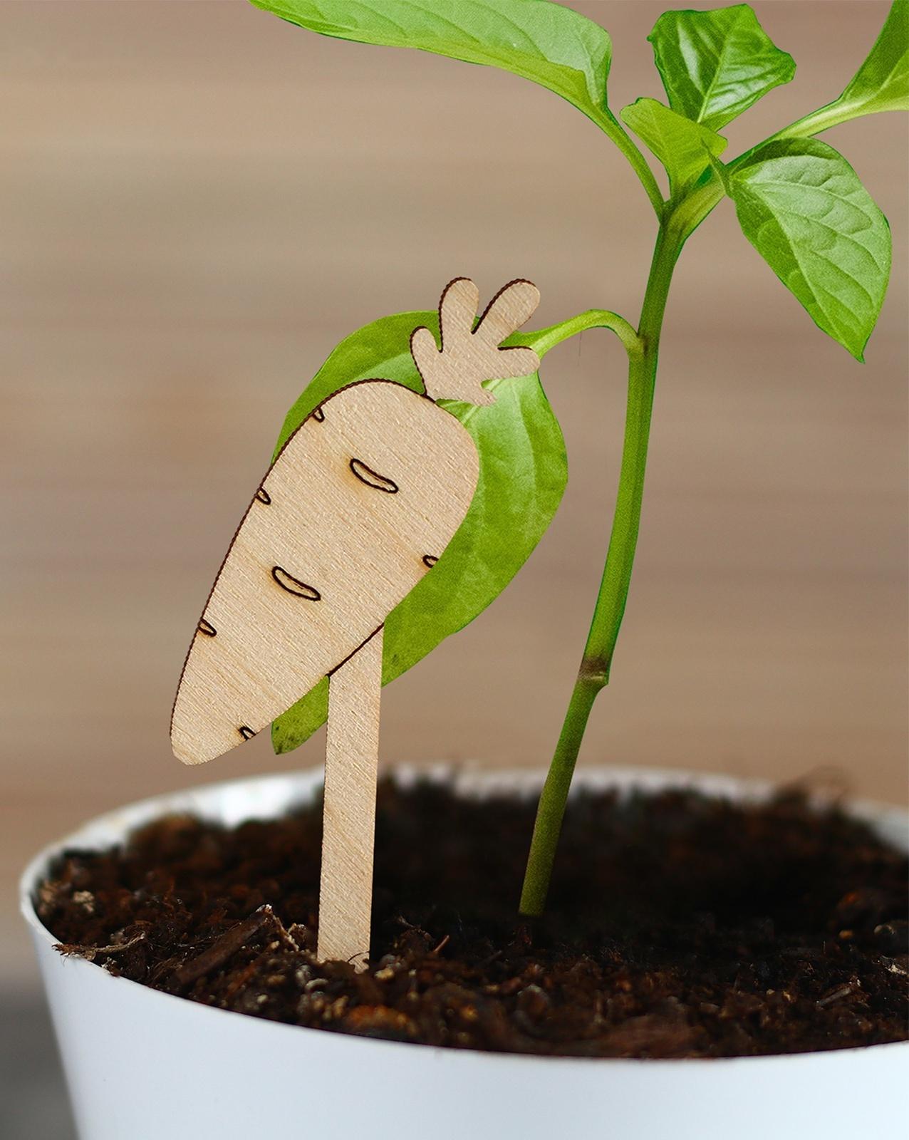 Таблички садовые для маркировки, 12 см, набор 8 шт., дерево, «Морковь», Greengo