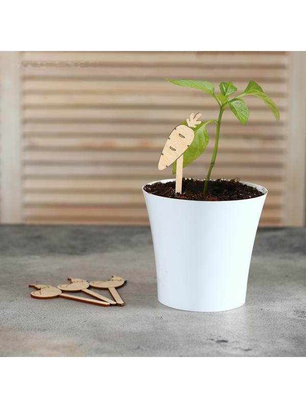 Таблички садовые для маркировки, 12 см, набор 8 шт., дерево, «Морковь», Greengo