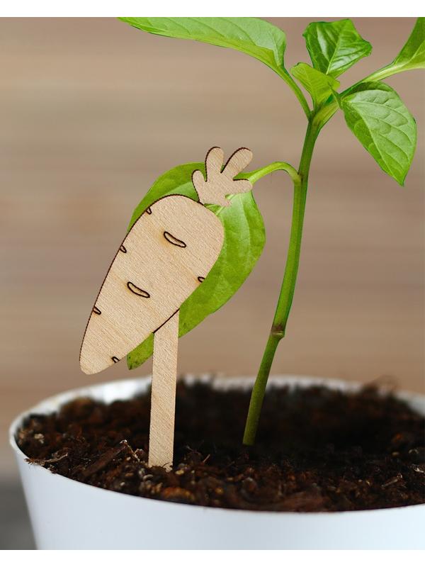 Таблички садовые для маркировки, 12 см, набор 8 шт., дерево, «Морковь», Greengo