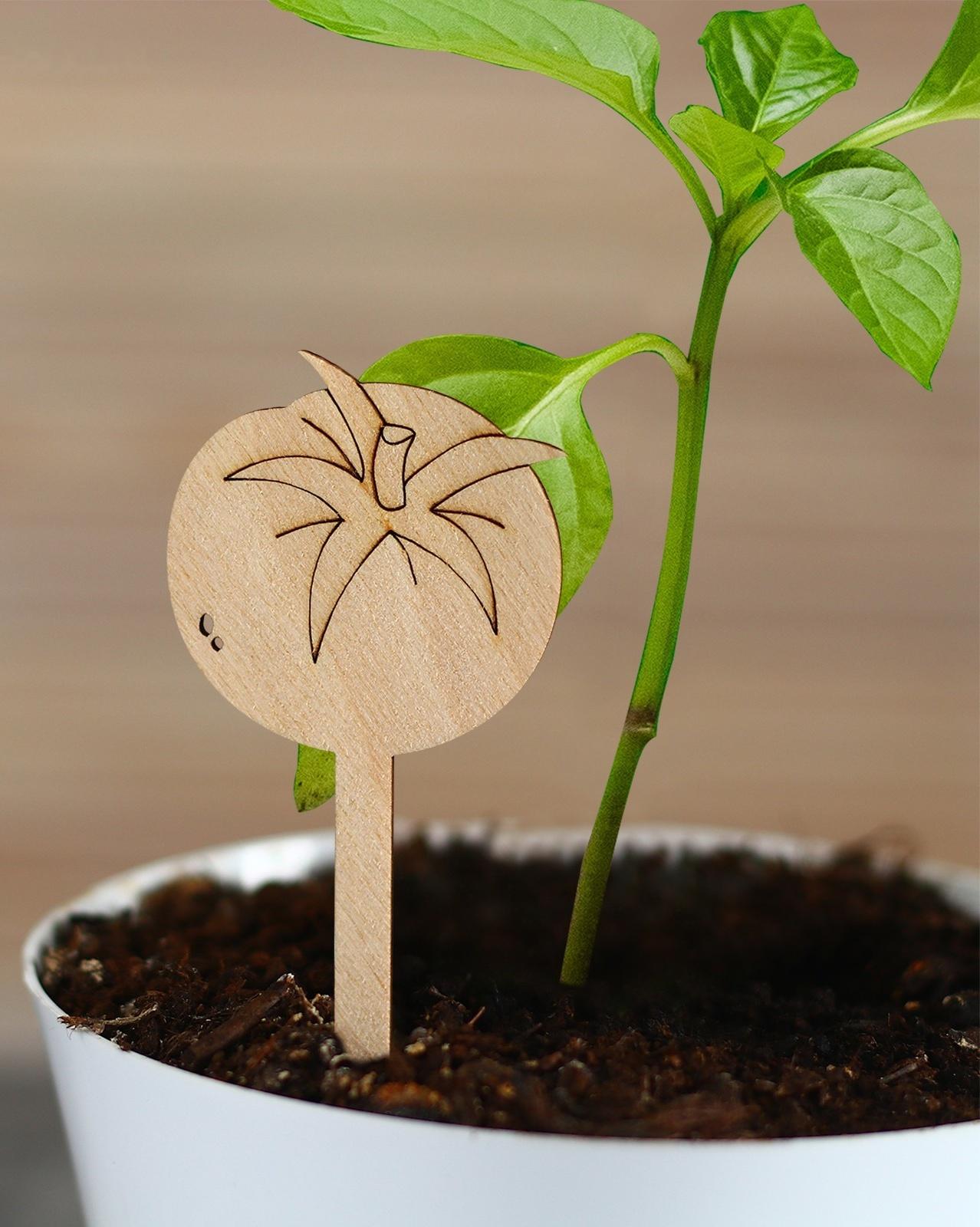 Таблички садовые для маркировки, 12 см, набор 8 шт., дерево, «Помидор», Greengo