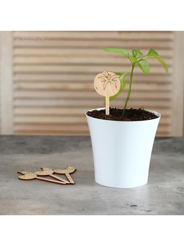 Таблички садовые для маркировки, 12 см, набор 8 шт., дерево, «Помидор», Greengo