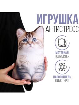 Антистресс игрушка «Котик Сибиряк»