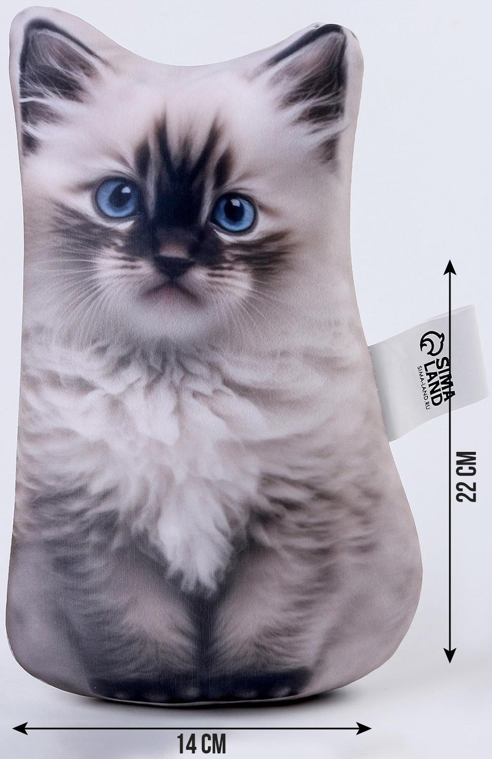 Антистресс игрушка «Котик Рэгдолл»