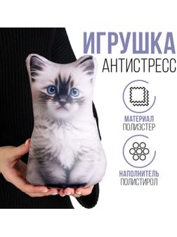 Антистресс игрушка «Котик Рэгдолл»