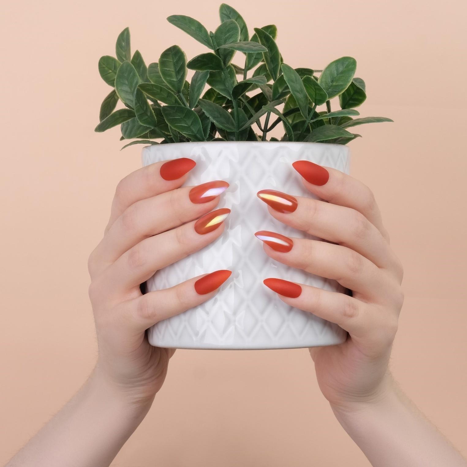 Накладные ногти, 24 шт, с клеевыми пластинами, форма миндаль, матовый/голография, цвет коралловый