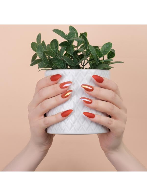 Накладные ногти, 24 шт, с клеевыми пластинами, форма миндаль, матовый/голография, цвет коралловый