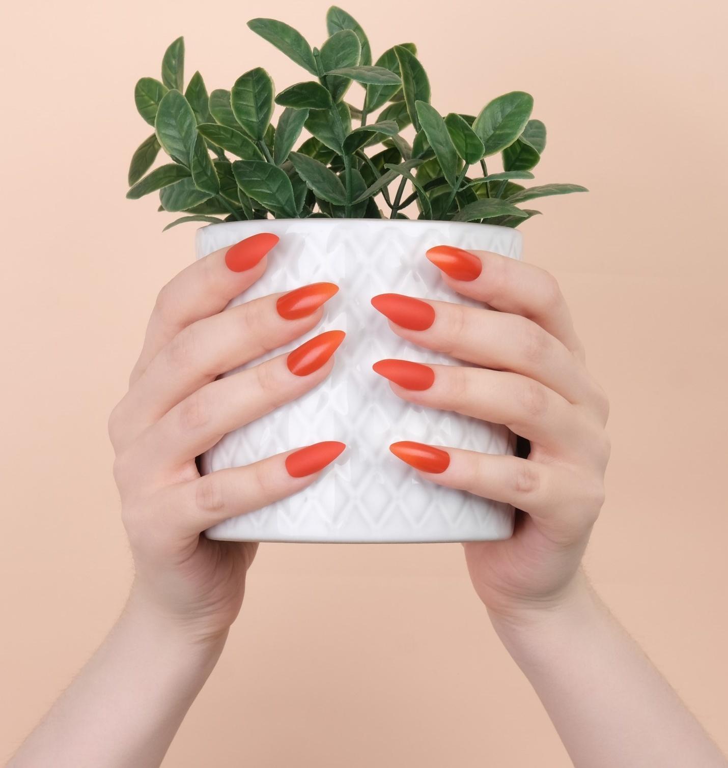 Накладные ногти, 24 шт, с клеевыми пластинами, форма миндаль, цвет коралловый