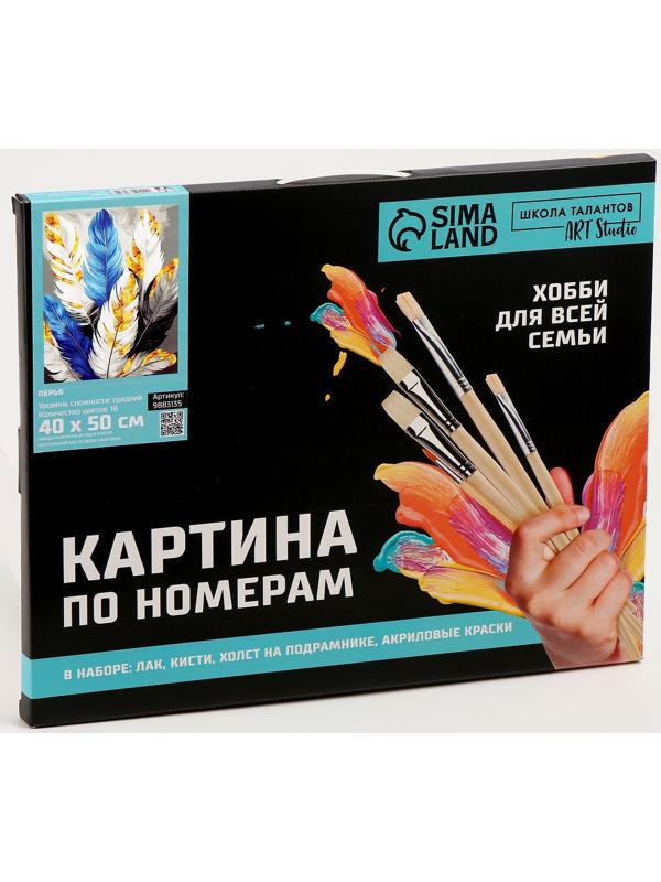 Картина по номерам с золотой краской «Перья», 40 × 50 см