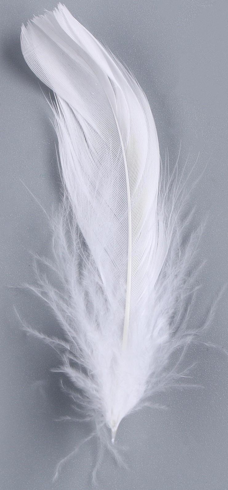 Набор для творчества и декора «Перья белые + наполнитель», цвет красный