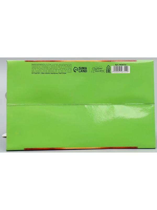 Переноски для цветов «Мишка», 20 × 12 × 12 см