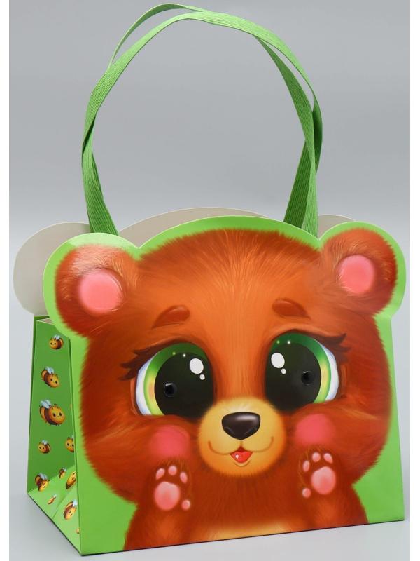 Переноски для цветов «Мишка», 20 × 12 × 12 см