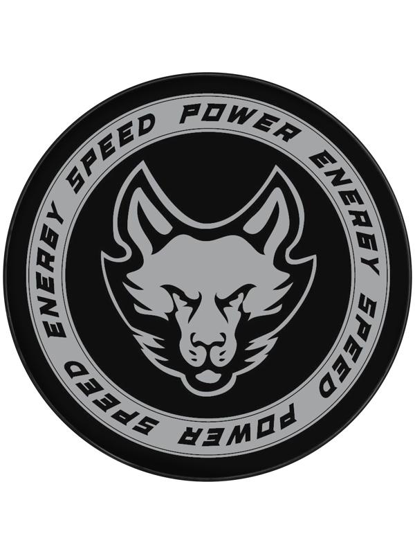 Шайба хоккейная Winter Star, взрослая, d=7,6 см