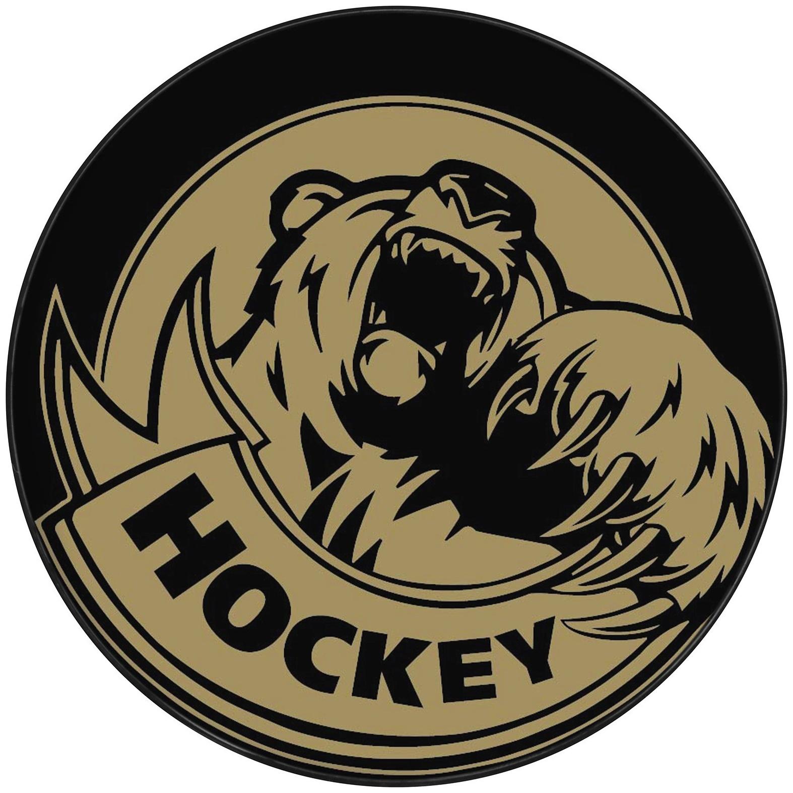 Шайба хоккейная Winter Star, взрослая, d=7,6 см