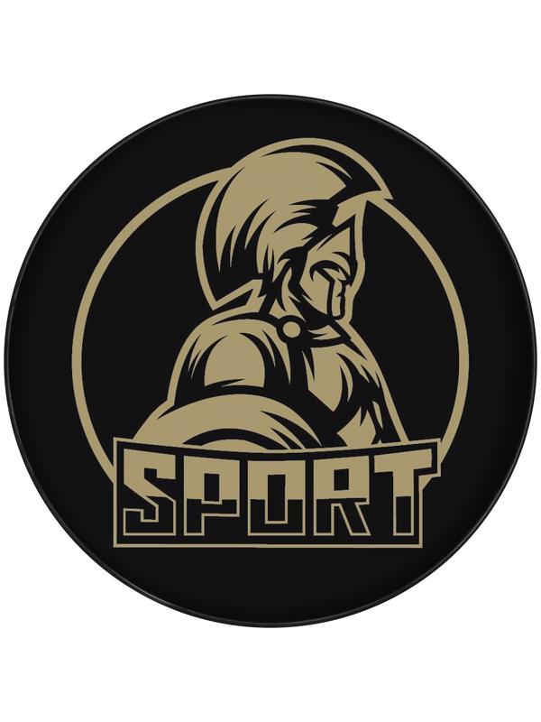 Шайба хоккейная Winter Star, взрослая, d=7,6 см