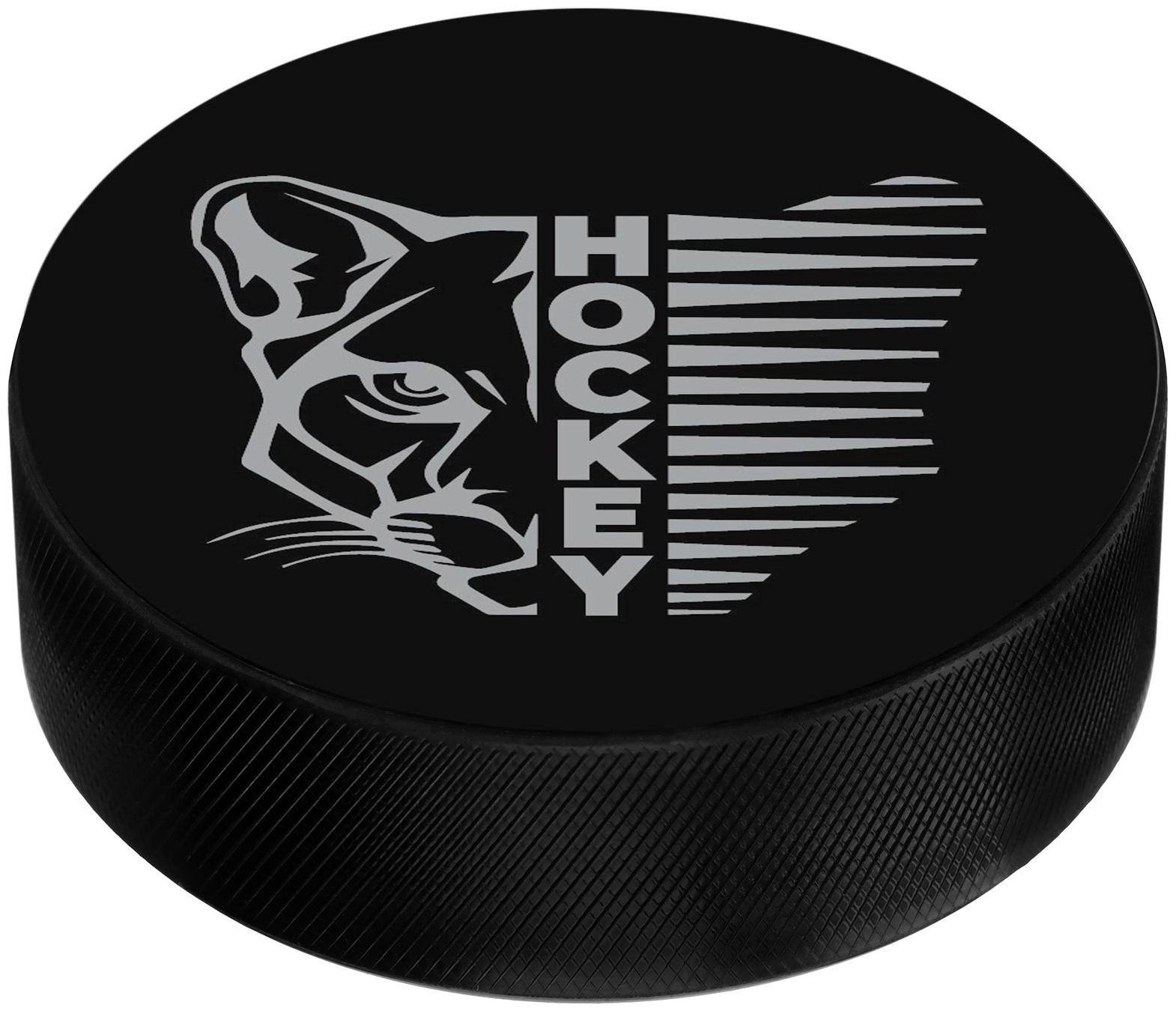 Шайба хоккейная Winter Star, взрослая, d=7,6 см