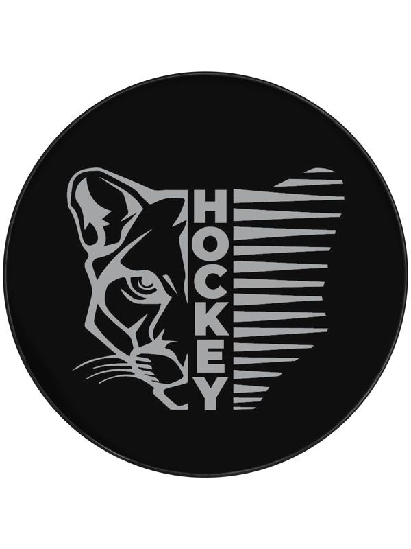 Шайба хоккейная Winter Star, взрослая, d=7,6 см