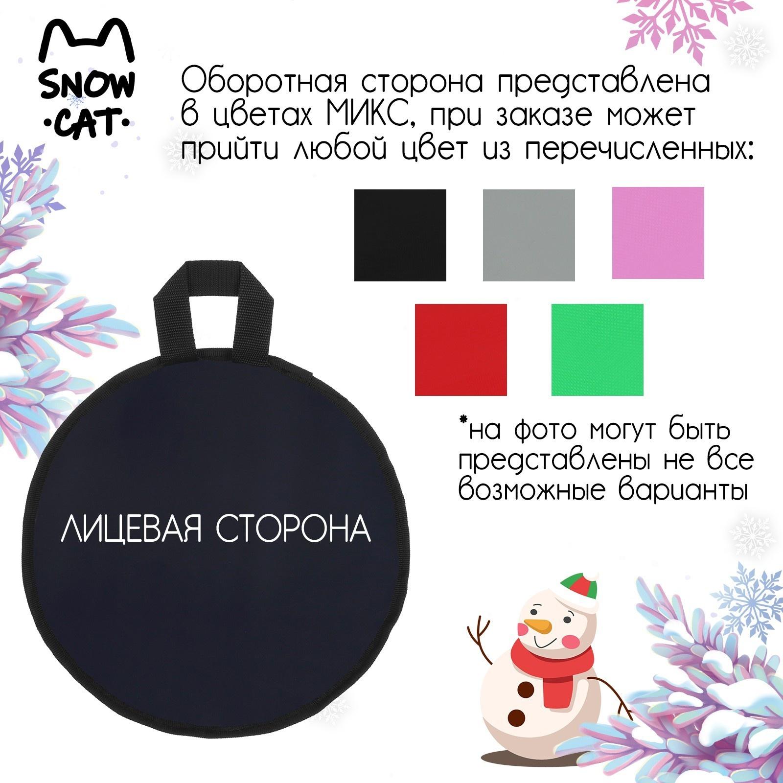 Ледянка эконом, d=30 см, толщина 1 см, цвет МИКС