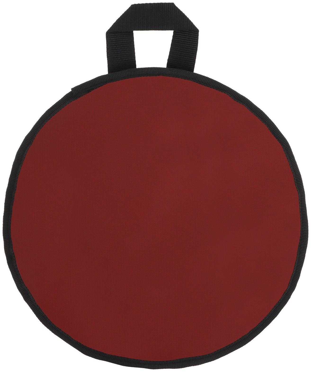 Ледянка эконом, d=30 см, толщина 1 см, цвет МИКС