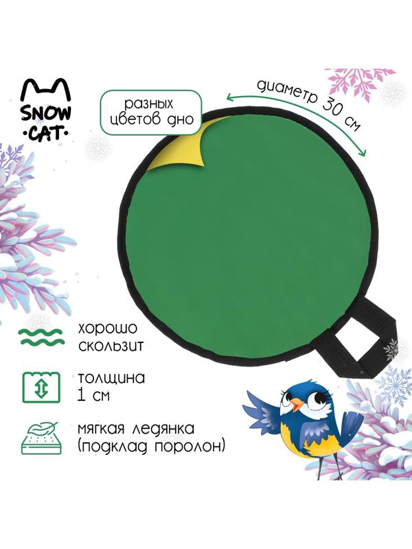 Ледянка эконом, d=30 см, толщина 1 см, цвет МИКС