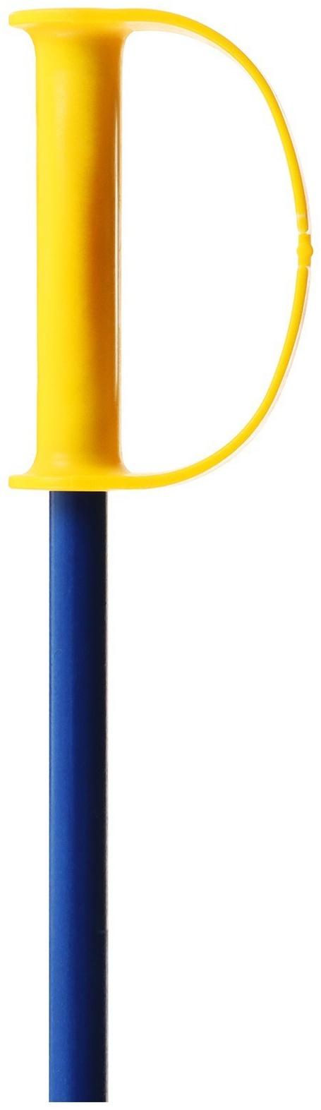 Комплект лыжный детский Snow Cat: лыжи 66 см, палки 75 см