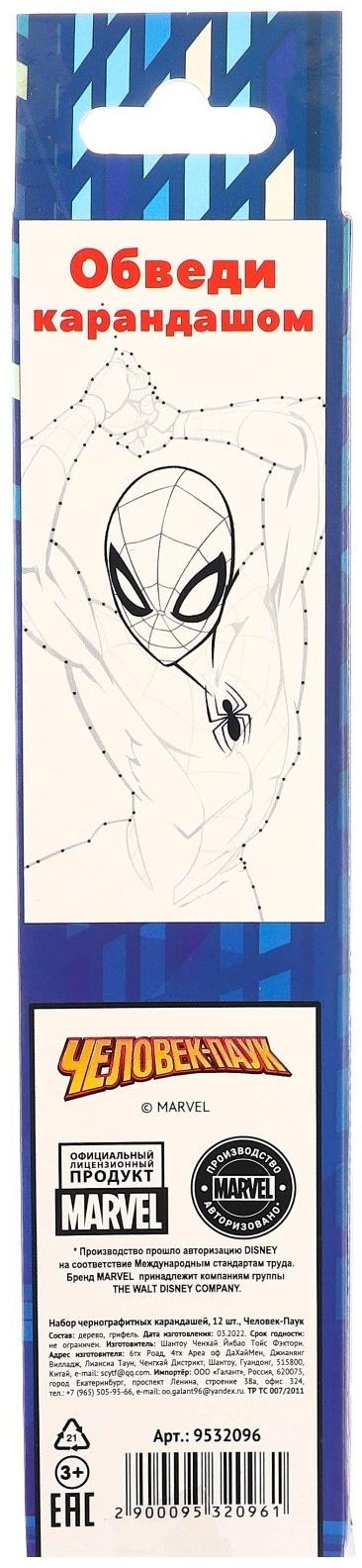 Карандаш чернографитный, набор 12 штук, Человек-паук