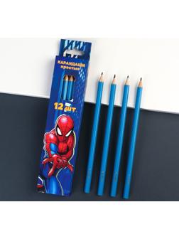 Карандаш чернографитный, набор 12 штук, Человек-паук