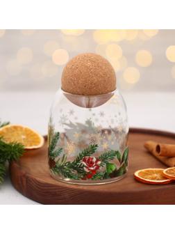 Банка для хранения «Зимние истории», 500 мл