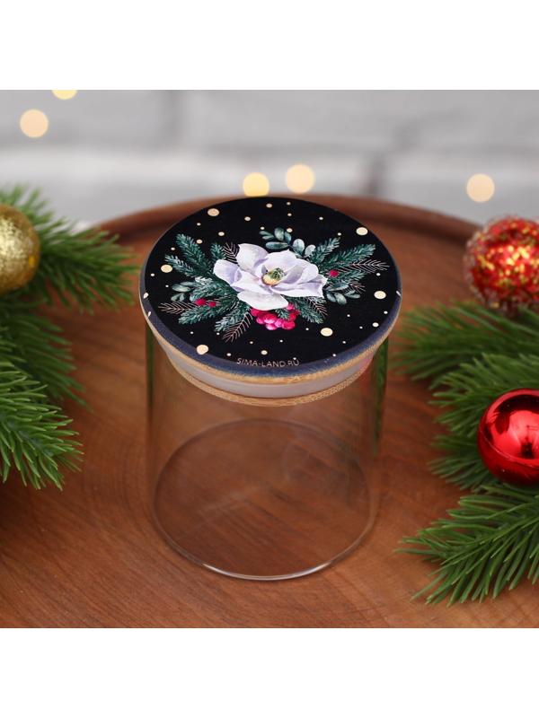 Банка для хранения «Зимние истории», 250 мл