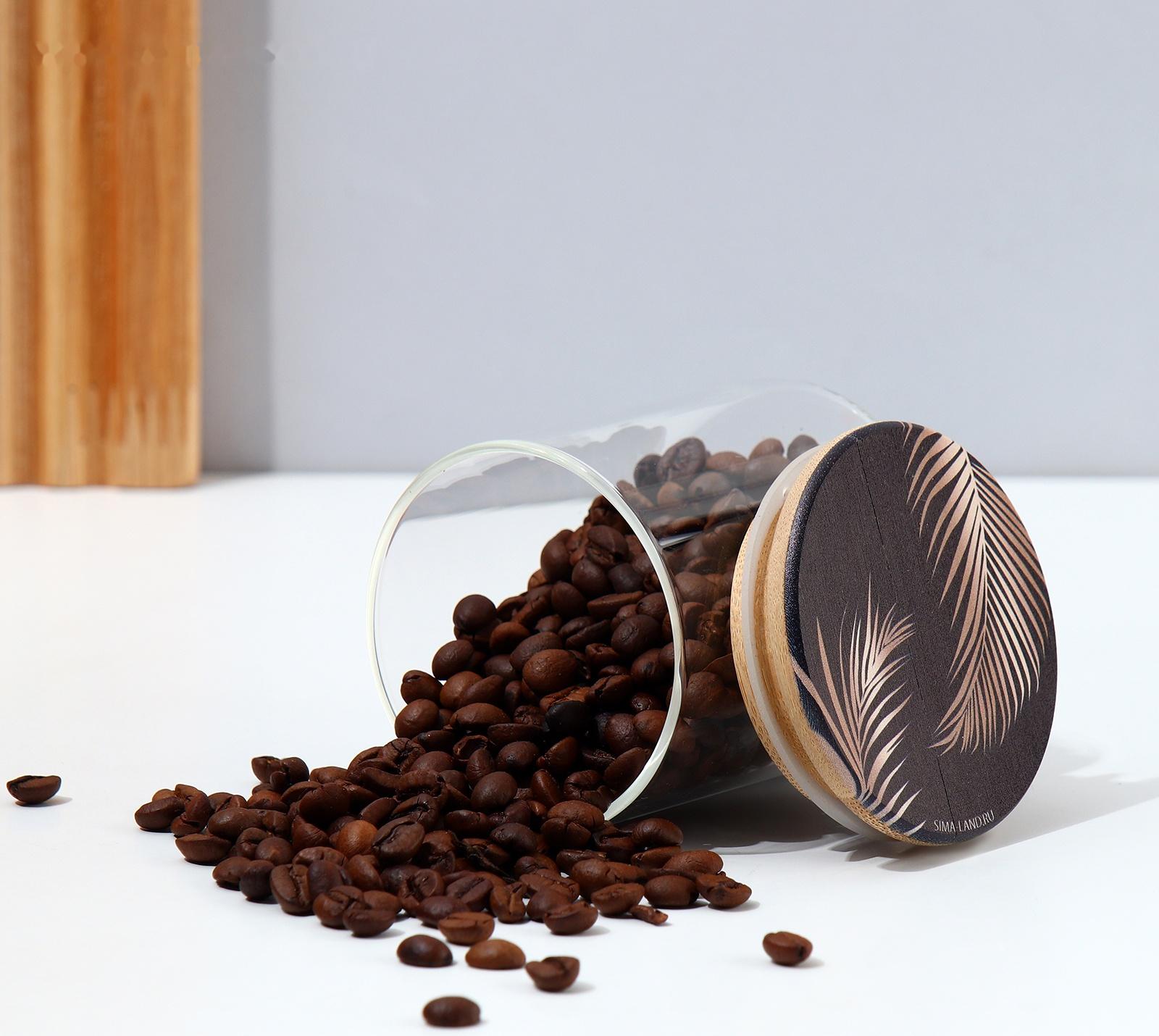 Банка для хранения «Тропики», 250 мл