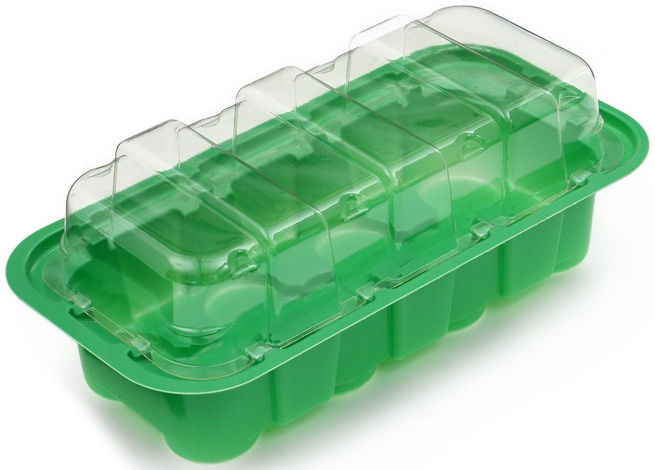 Мини-парник для рассады, 24 × 12 × 11 см, вставки (11 шт.) под таблетки для рассады d = 3 см