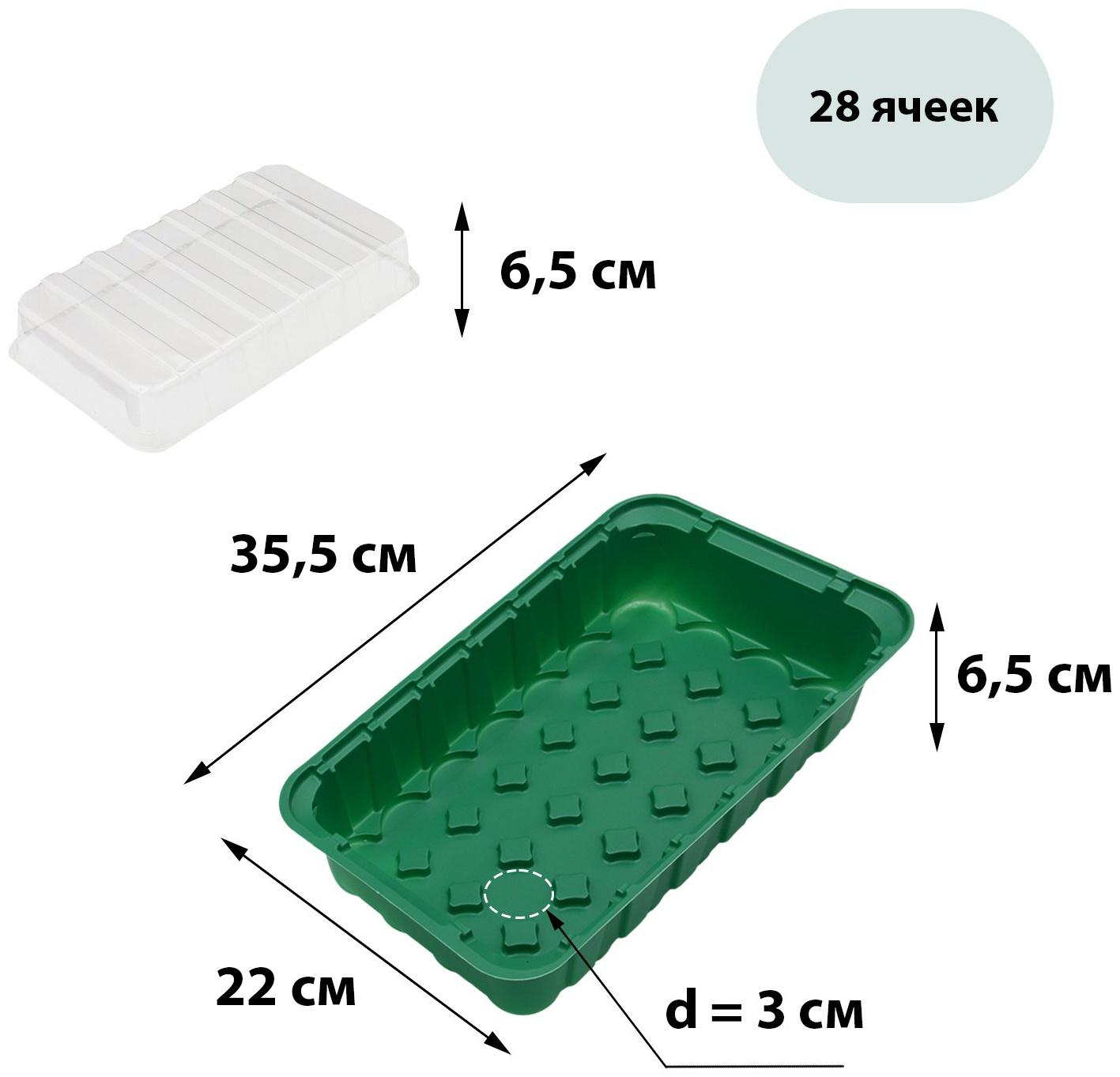 Мини-парник для рассады, 35,5 × 22 × 11 см, вставки (28 шт.) под таблетки для рассады d = 4 см