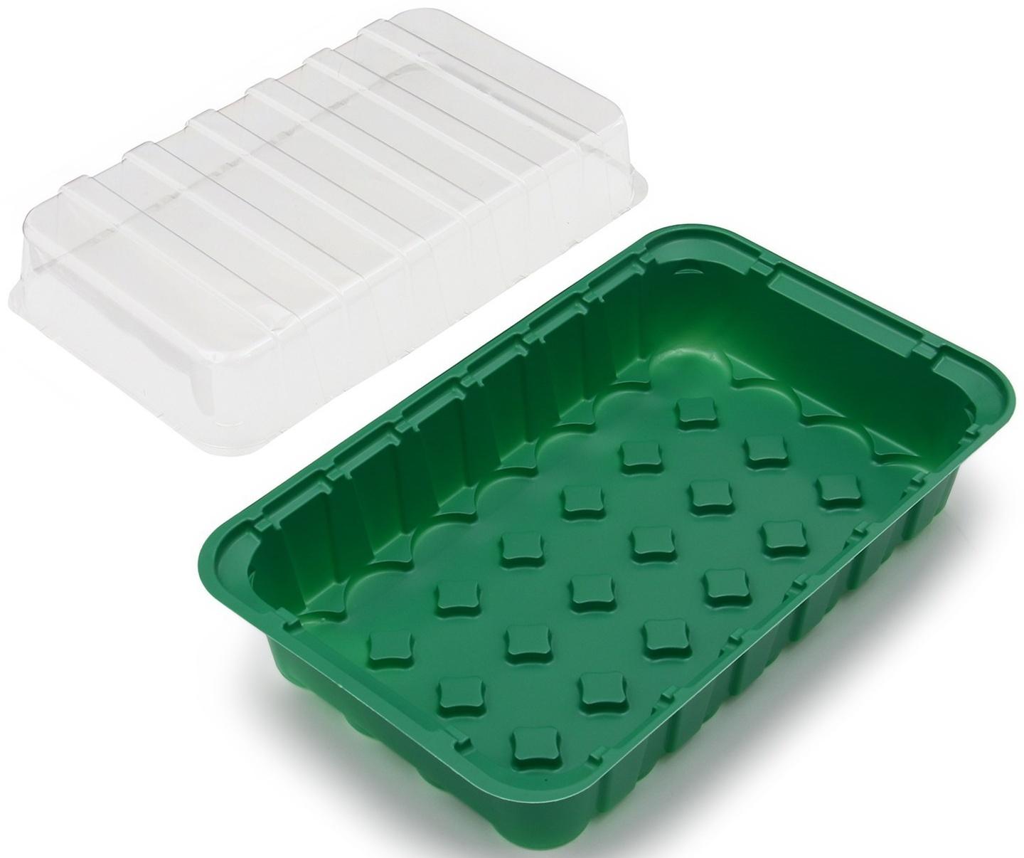 Мини-парник для рассады, 35,5 × 22 × 11 см, вставки (28 шт.) под таблетки для рассады d = 4 см