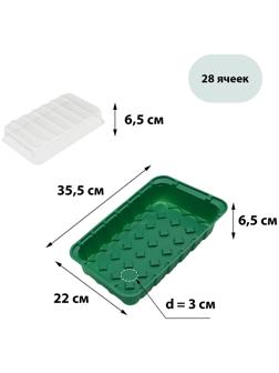 Мини-парник для рассады, 35,5 × 22 × 11 см, вставки (28 шт.) под таблетки для рассады d = 4 см