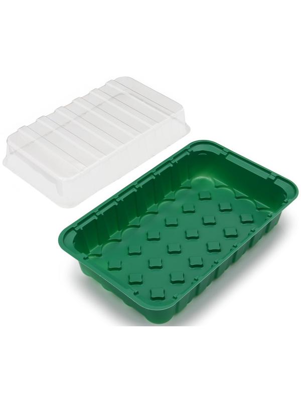 Мини-парник для рассады, 35,5 × 22 × 11 см, вставки (28 шт.) под таблетки для рассады d = 4 см