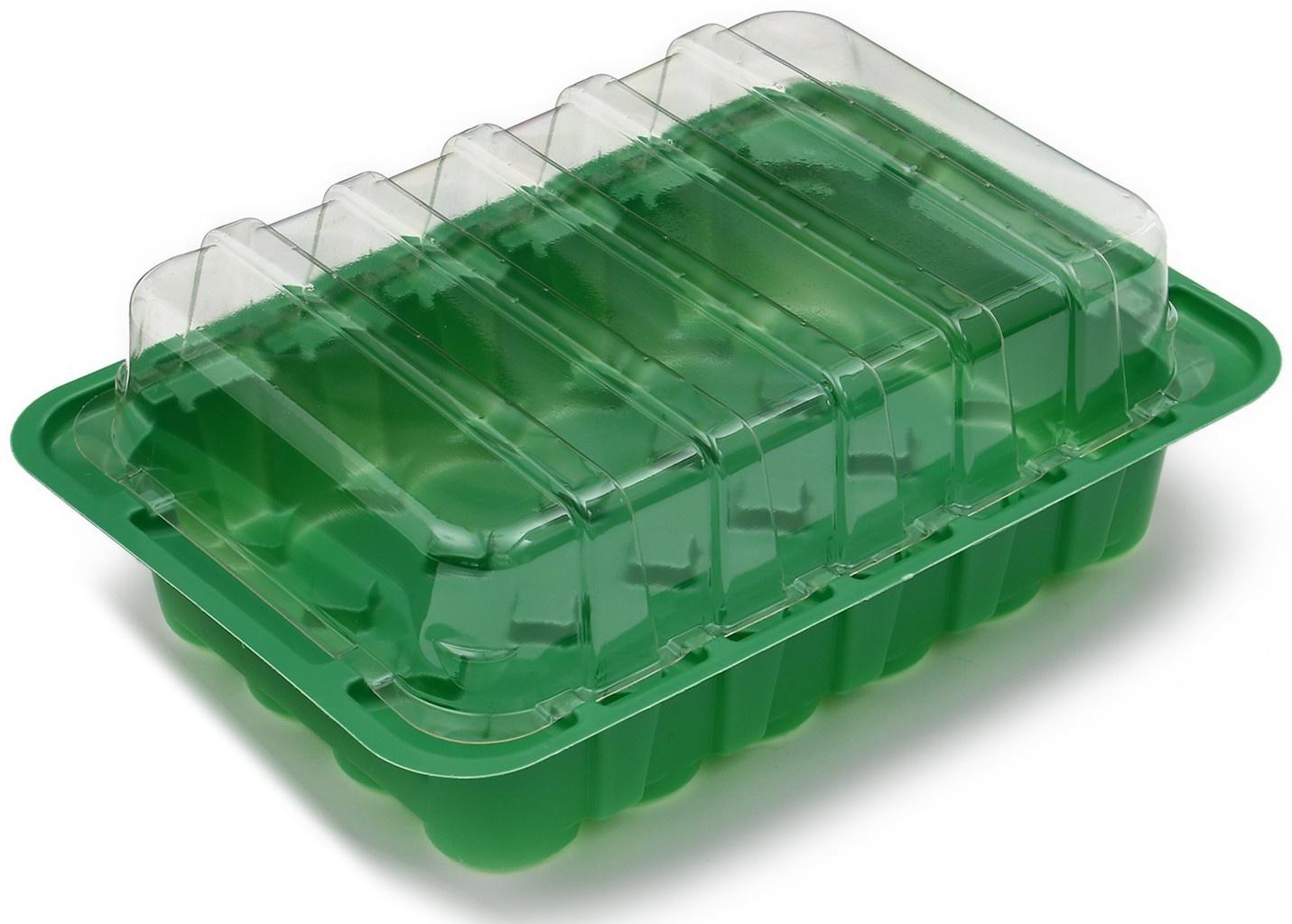 Мини-парник для рассады, 24 × 17 × 5 см, 24 ячейки под таблетки для рассады d = 3 см