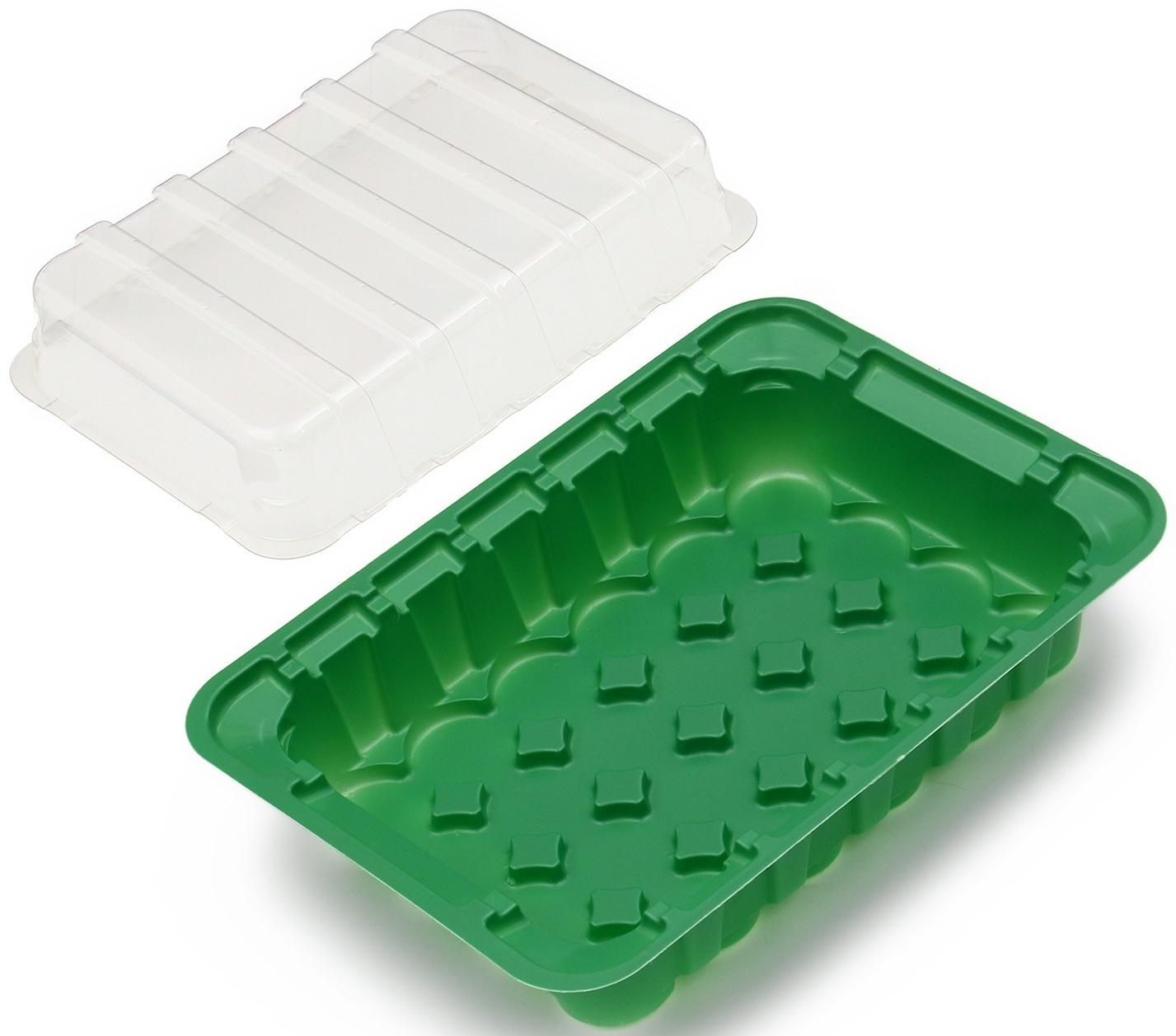 Мини-парник для рассады, 24 × 17 × 5 см, 24 ячейки под таблетки для рассады d = 3 см