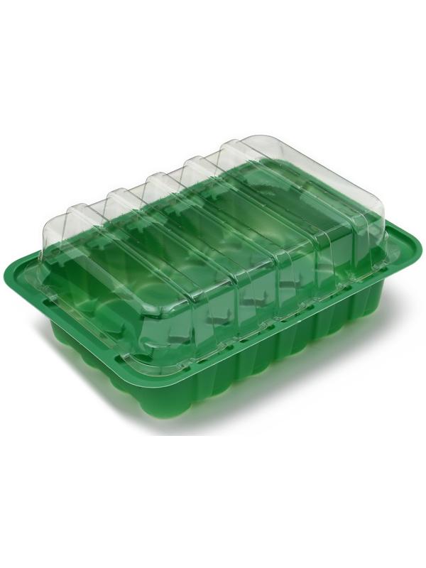 Мини-парник для рассады, 24 × 17 × 5 см, 24 ячейки под таблетки для рассады d = 3 см