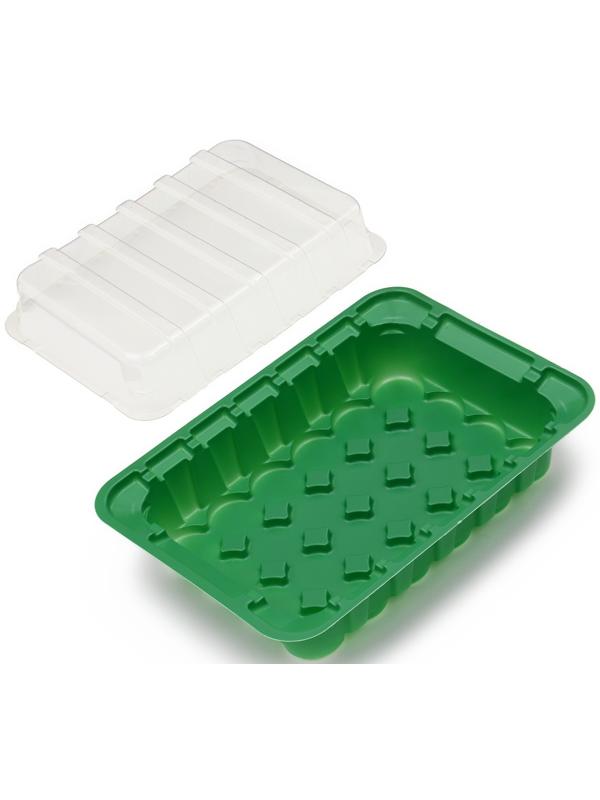 Мини-парник для рассады, 24 × 17 × 5 см, 24 ячейки под таблетки для рассады d = 3 см