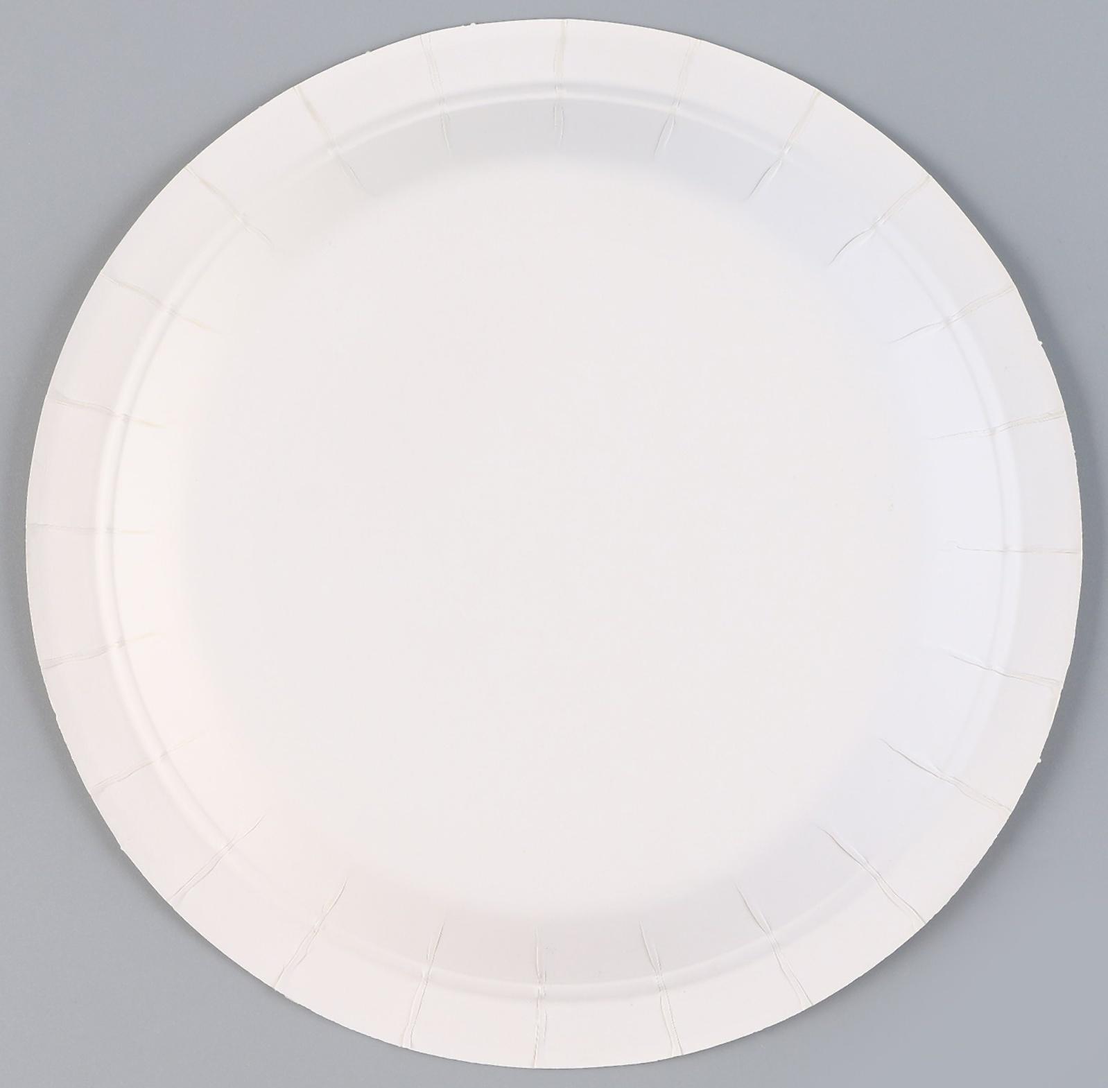 Тарелки бумажные «С днём рождения», в наборе 6 шт., цвет розовый