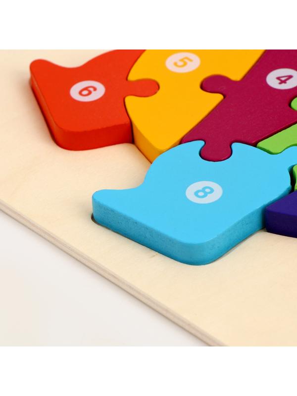 Рамка-вкладыш «Дракоша» 22 × 18 × 0,9 см