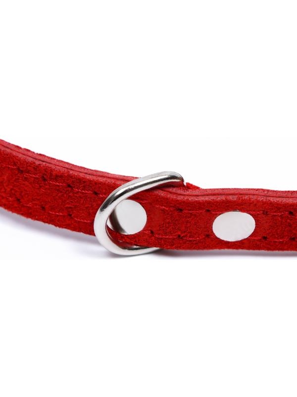 Ошейник замшевый двухслойный 1,2 см, ОШ 30-38 см, красный
