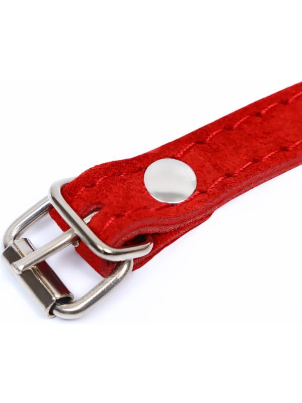 Ошейник замшевый двухслойный 1,2 см, ОШ 30-38 см, красный