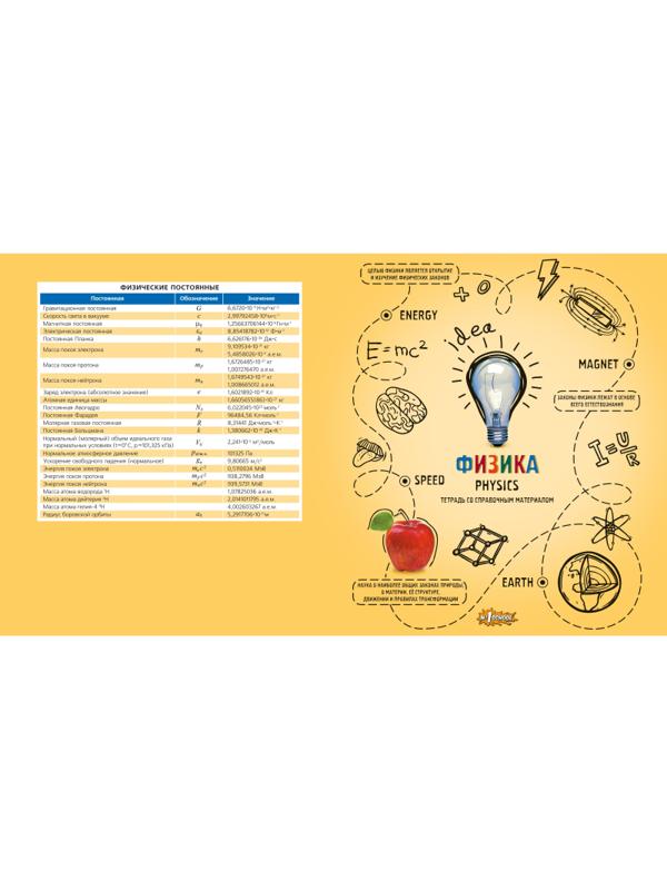 Тетрадь предметная №1 School Ребус 48л А5, клетка ФИЗИКА, 73847