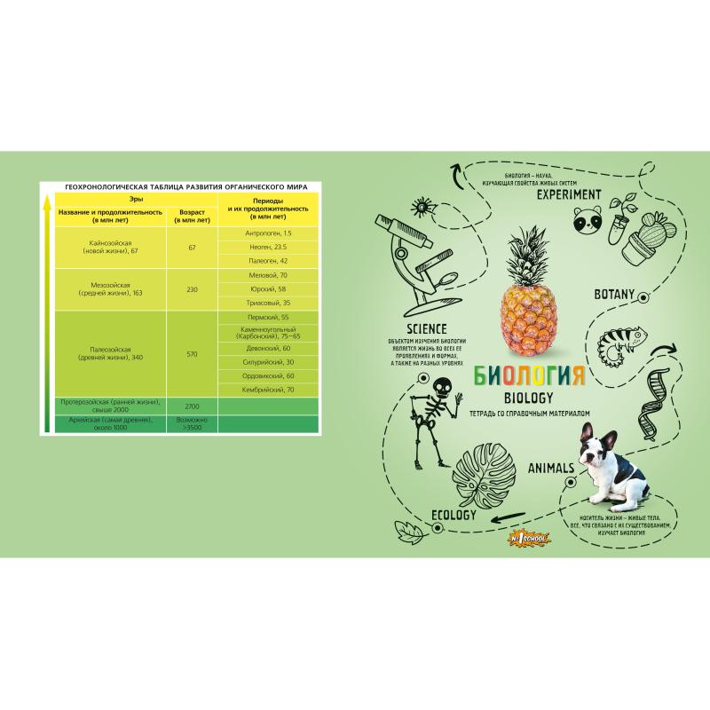 Тетрадь предметная №1 School Ребус 48л А5, клетка БИОЛОГИЯ, 73850