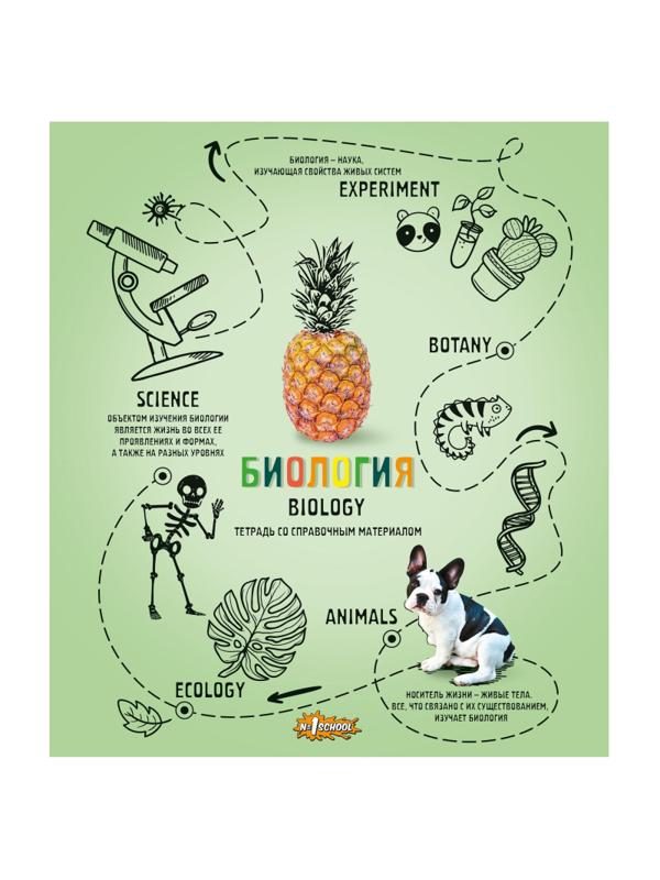 Тетрадь предметная №1 School Ребус 48л А5, клетка БИОЛОГИЯ, 73850