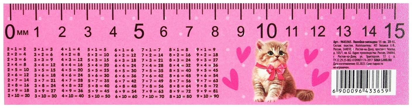 Линейка-закладка пластиковая 15 см ЗЛ-15 Таблица Умножения 
