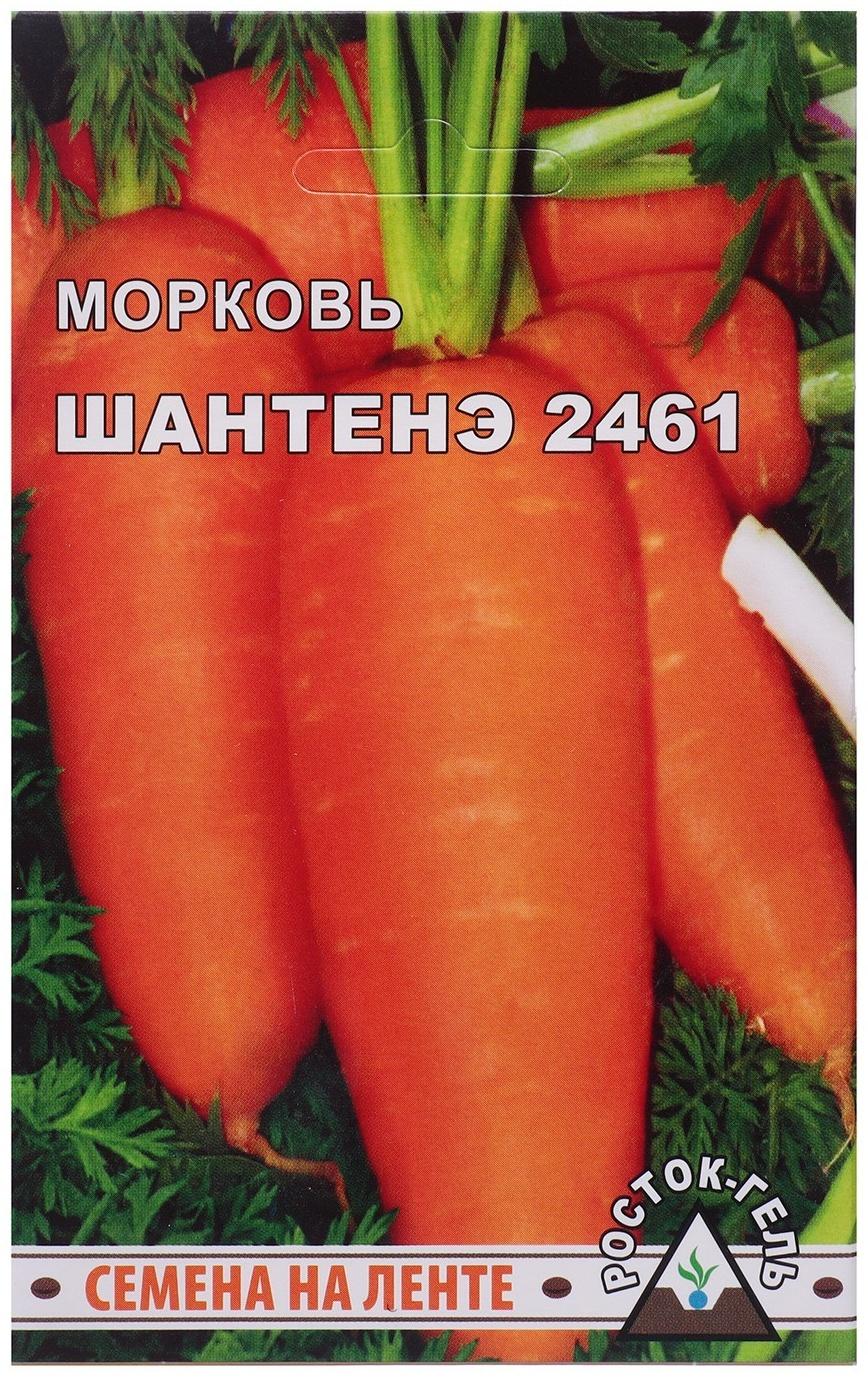 Семена моркови 