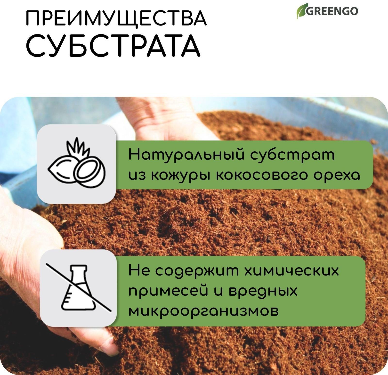 Субстрат кокосовый в брикете, 4 л, 30% чипсы и 70% торф, Greengo