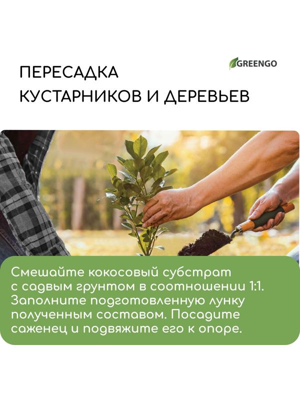 Субстрат кокосовый в брикете, 4 л, 30% чипсы и 70% торф, Greengo
